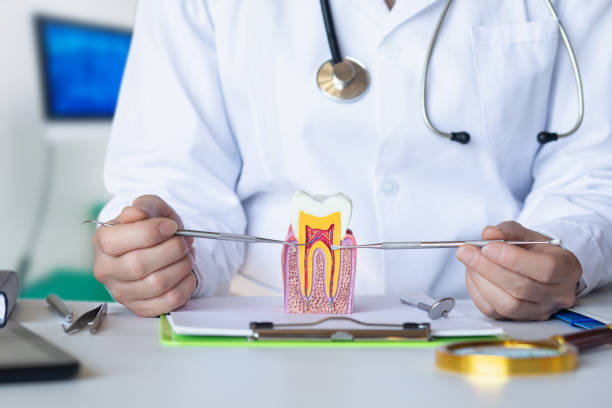Best Urgent Dental Care  in Jamestown, TN